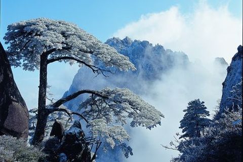 <黄山2日游>合肥参团，含黄山大门票，无购物，住山下