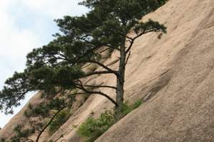 南昌去安徽牯牛降（西黄山）、大王洞二日游 汽车游黄山