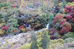 成都、九寨沟、黄龙、都江堰、青城山汽车纯玩双飞七日游