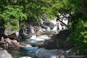 十一国庆青岛游   崂山北九水一日游（纯玩 无自费）天天发团