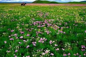 8月红原若尔盖穿衣指南 成都去九寨黄龙九曲花湖大草原4日费用