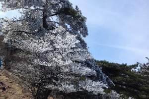 安徽合肥至黄山三日游A线（两晚住山下）