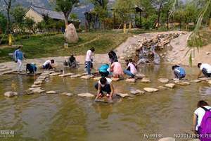 十一解压旅游团 青岛去南山大佛、牟氏庄园、招远淘金小镇二日游